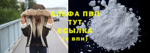 ПСИЛОЦИБИНОВЫЕ ГРИБЫ Покачи
