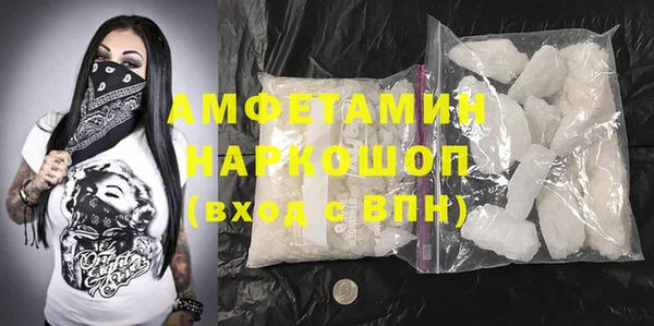 шишки Пестово