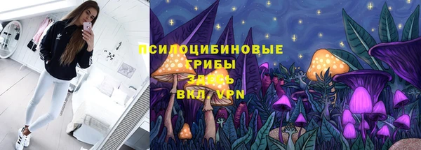 ПСИЛОЦИБИНОВЫЕ ГРИБЫ Покачи