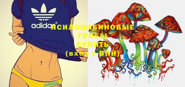 ПСИЛОЦИБИНОВЫЕ ГРИБЫ Покачи