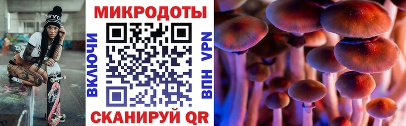 Галлюциногенные грибы MAGIC MUSHROOMS  где продают   Лениногорск 