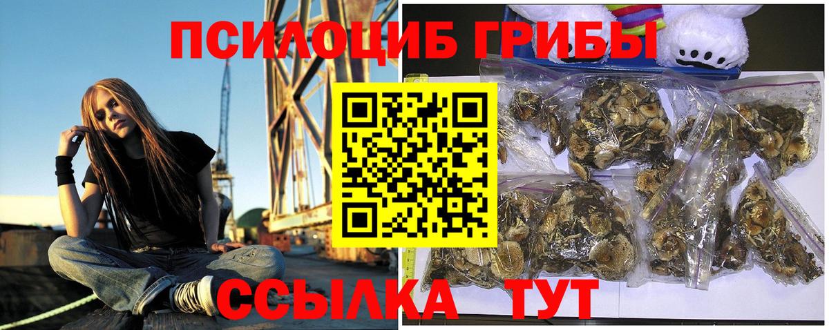 Лениногорск  Галлюциногенные грибы Magic Shrooms  Вход с VPN  Псилоцибиновые грибы мухоморы 